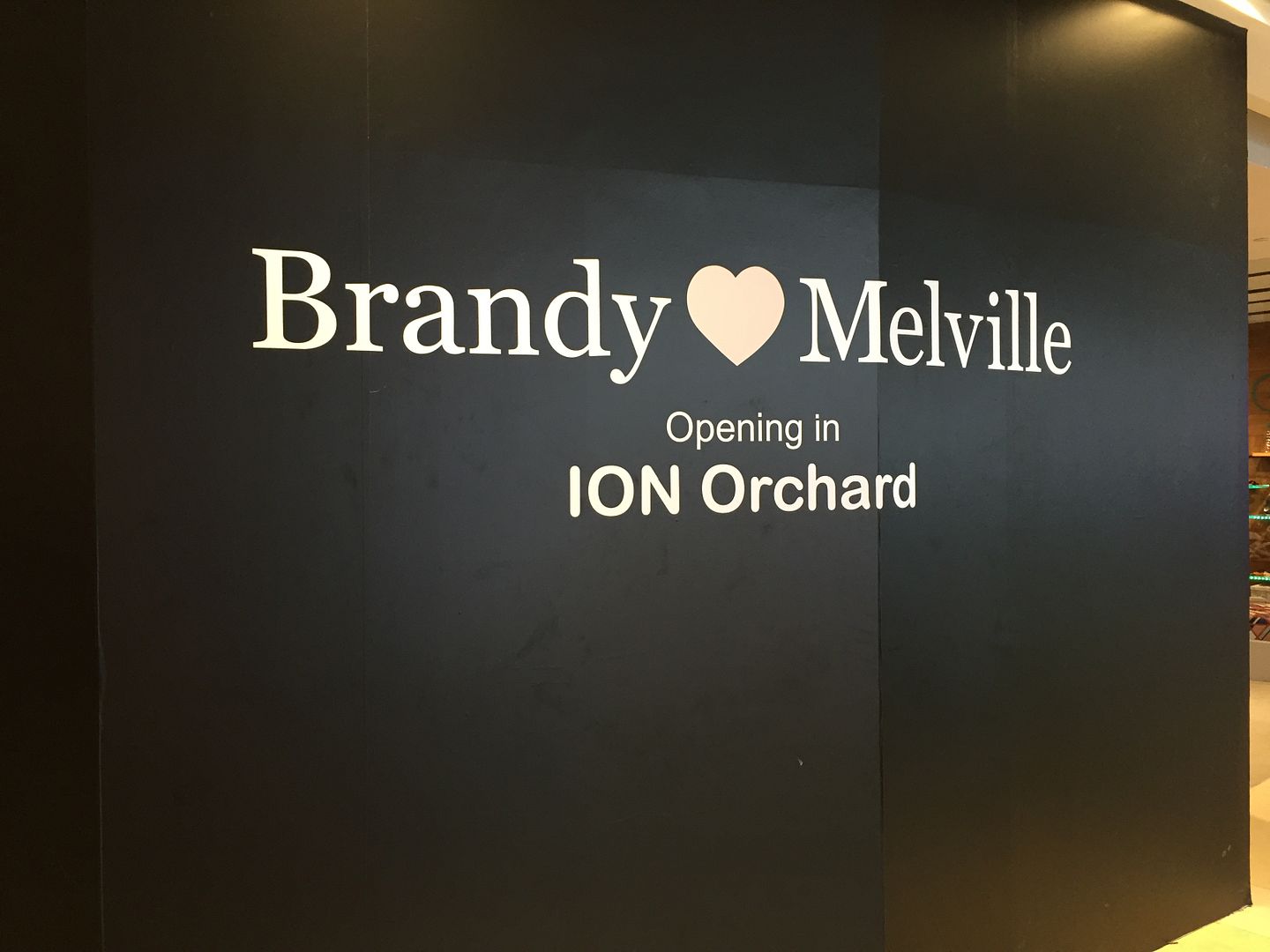 Brandy Melville Opening in Ion Orchard Singapore! Life of a Typical